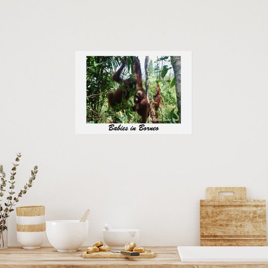 Baby's in Borneo Poster (Keuken)