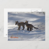 baby's kopiëren, Fox Siblings Briefkaart (Voorkant / Achterkant)