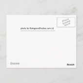 baby's kopiëren, Fox Siblings Briefkaart (Achterkant)