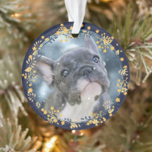 Baby's of Pet's Eerste Chanoeka Keepsake Foto