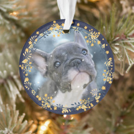 Baby's of Pet's Eerste Chanoeka Keepsake Foto Ornament
