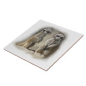 baby's tegeltje (Zijkant)