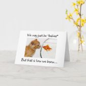 BABY'S - WE WETEN DAT ADOPTIE SPECIAAL IS KAART (Gele Bloem)