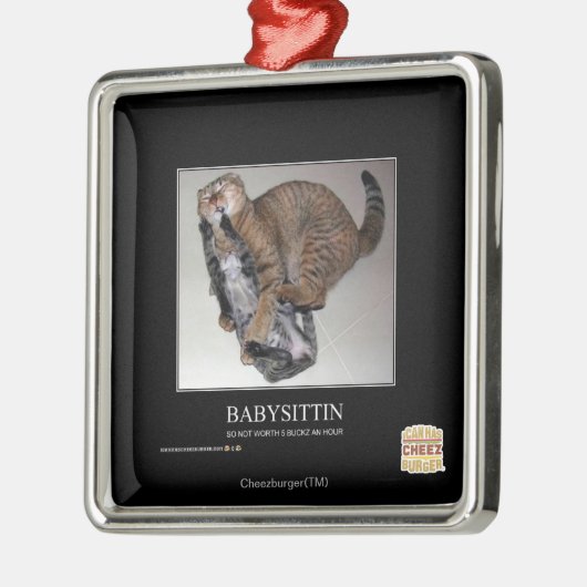 Babysittin Metalen Ornament (Links)