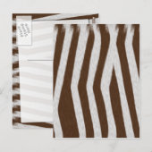 Babyzebra Briefkaart (Voorkant / Achterkant)