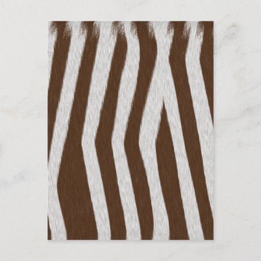 Babyzebra Briefkaart (Voorkant)