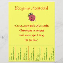 Babyzittende Flyer - Ladybug