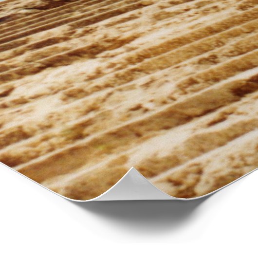 Bacchustempel Poster (Hoek)