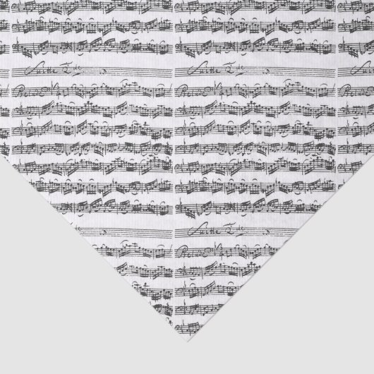Bach Cello Suite Music Manuscript Tissuepapier (Detail)
