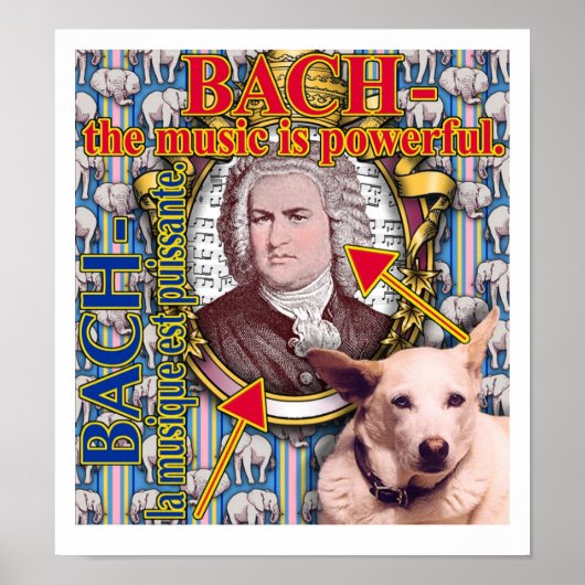 BACH - de muziek is krachtig. Poster (Voorkant)
