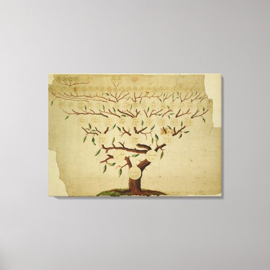 Bach Family Tree, c.1750-1770 Canvas Afdruk (Voorkant)