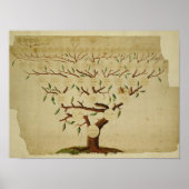 Bach Family Tree, c.1750-1770 Poster (Voorkant)