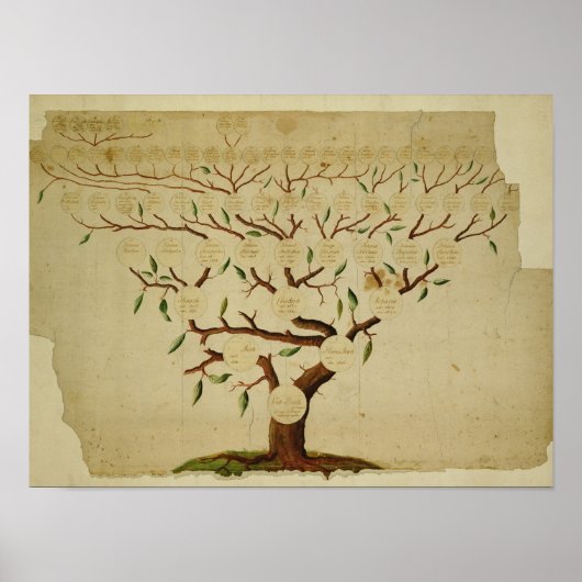 Bach Family Tree, c.1750-1770 Poster (Voorkant)