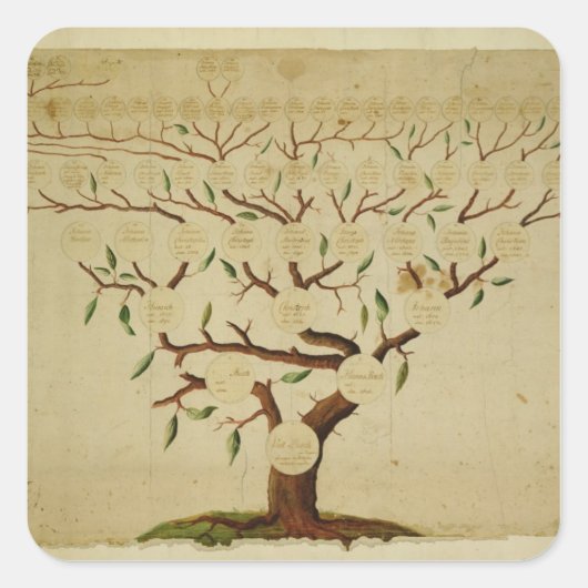 Bach Family Tree, c.1750-1770 Vierkante Sticker (Voorkant)