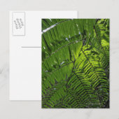Bach Ma National Park Briefkaart (Voorkant / Achterkant)