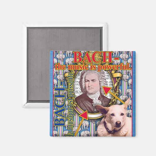 BACH MAGNEET (Voorkant / Achterkant)