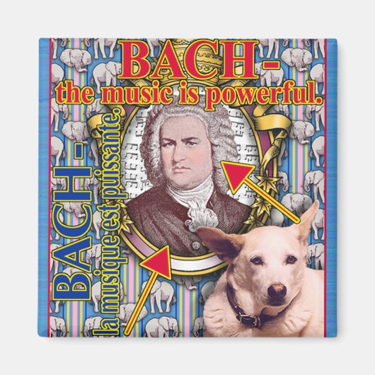 BACH MAGNEET (Voorkant)