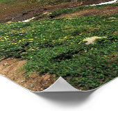 Bachalpsee Poster (Hoek)