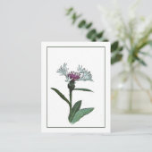 Bachelor Button Botanisch Briefkaart met foto-sche (Staand voorkant)