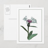 Bachelor Button Botanisch Briefkaart met foto-sche (Voorkant / Achterkant)