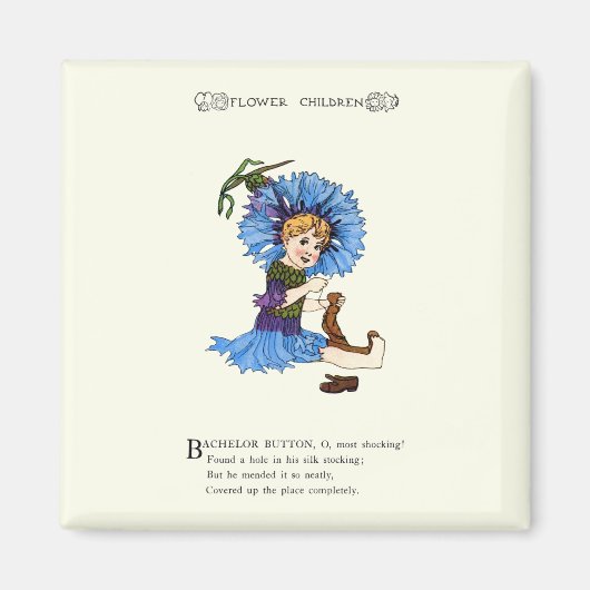 Bachelor Button Magneet (Voorkant)