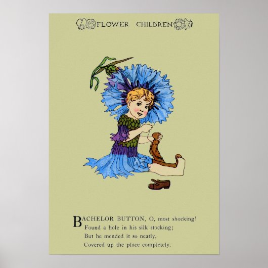 Bachelor Button Poster (Voorkant)