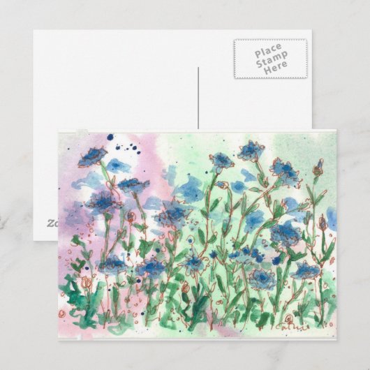 Bachelor Button Wildflower Meadow Briefkaart (Voorkant / Achterkant)