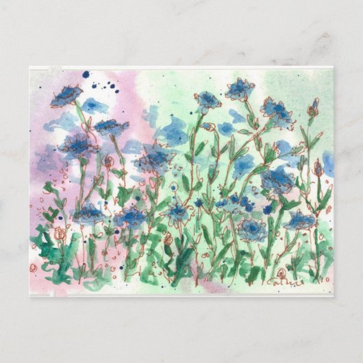 Bachelor Button Wildflower Meadow Briefkaart (Voorkant)