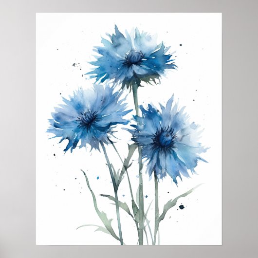 Bachelor Buttonnen Bloemenkunst Print Poster (Voorkant)
