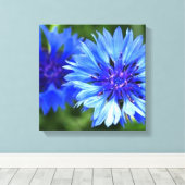 Bachelor Buttonnen Canvas Afdruk (Insitu (Houten vloer))