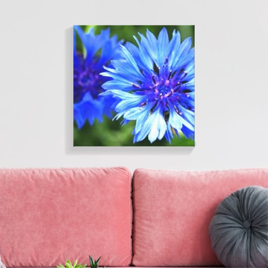 Bachelor Buttonnen Canvas Afdruk (Insitu (Woonkamer))