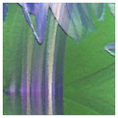 Bachelor Buttonnen.... Stof (Close Up)