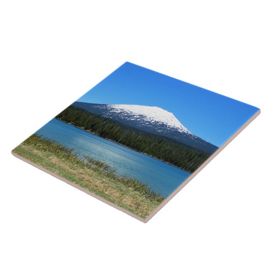 Bachelor monteren, OF Tegeltje (Zijkant)