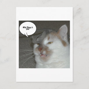 Bachelor Party Humor Briefkaart