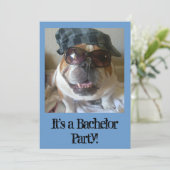 Bachelor Party Invitations Funny English Bulldog Kaart (Staand voorkant)