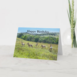Bachelor Pronghorn Antelopes Happy Birthday Kaart