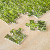 Bachelor Pronghorn Antelopes, South Dakota Legpuzzel (Zijkant)