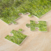 Bachelor Pronghorn Antelopes, South Dakota Legpuzzel (Zijkant)