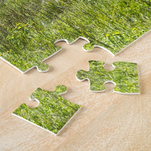 Bachelor Pronghorn Antelopes, South Dakota Legpuzzel (Zijkant)