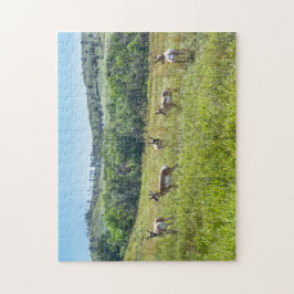 Bachelor Pronghorn Antelopes, South Dakota Legpuzzel