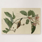 Bachman's Finch (Sparrow) Audubon Birds of America Legpuzzel (Horizontaal)