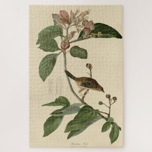 Bachman's Finch (Sparrow) Audubon Birds of America Legpuzzel