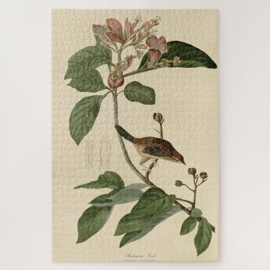 Bachman's Finch (Sparrow) Audubon Birds of America Legpuzzel (Verticaal)