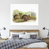 Bachmans haring, Western penseelkonijn van Audubon Canvas Afdruk (Insitu (Slaapkamer))