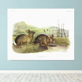 Bachmans haring, Western penseelkonijn van Audubon Canvas Afdruk (Insitu (Houten vloer))
