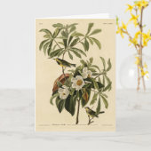 Bachman's Warbler, uit Audubon's Birds of America Kaart (Gele Bloem)