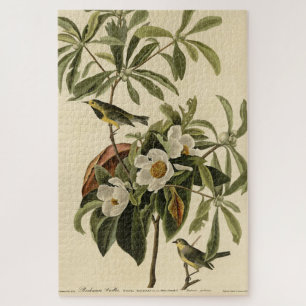 Bachman's Warbler, uit Audubon's Birds of America Legpuzzel
