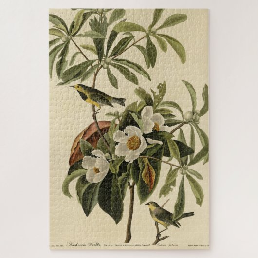 Bachman's Warbler, uit Audubon's Birds of America Legpuzzel (Verticaal)
