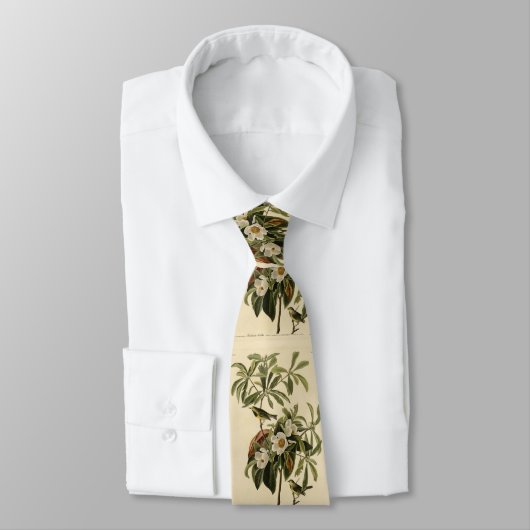 Bachman's Warbler, uit Audubon's Birds of America Stropdas (Gebonden)