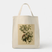 Bachman's Warbler, uit Audubon's Birds of America Tote Bag (Achterkant)